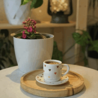 天然木のティートレイ 丸形（サンプル）